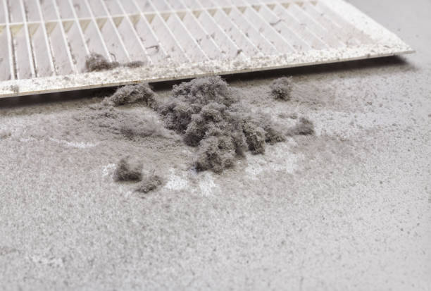 Best Affordable Duct Cleaning Services  in San Leandro, CA