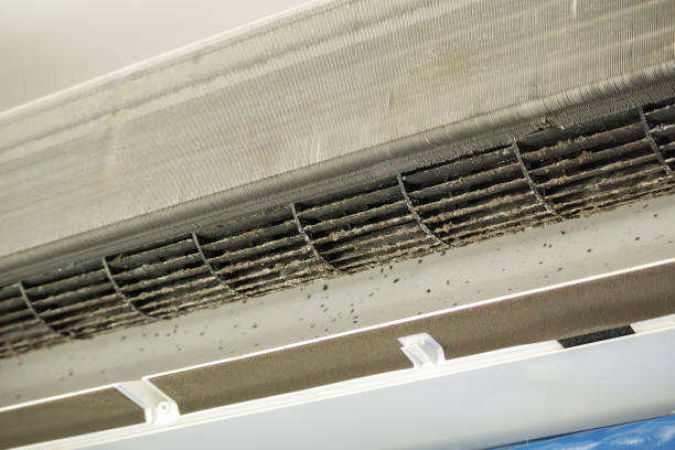 Best Affordable Air Duct Cleaning  in San Leandro, CA